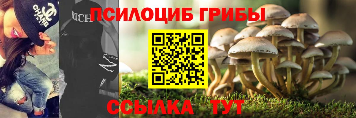 Псилоцибиновые грибы MAGIC MUSHROOMS Великие Луки